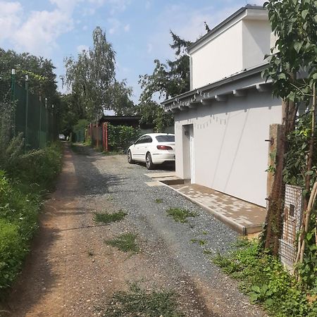 Dum V Brne Lägenhet Brno Exteriör bild