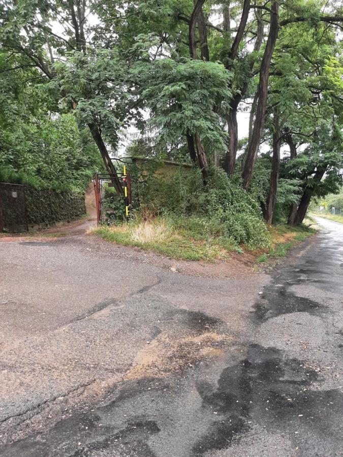 Dum V Brne Lägenhet Brno Exteriör bild