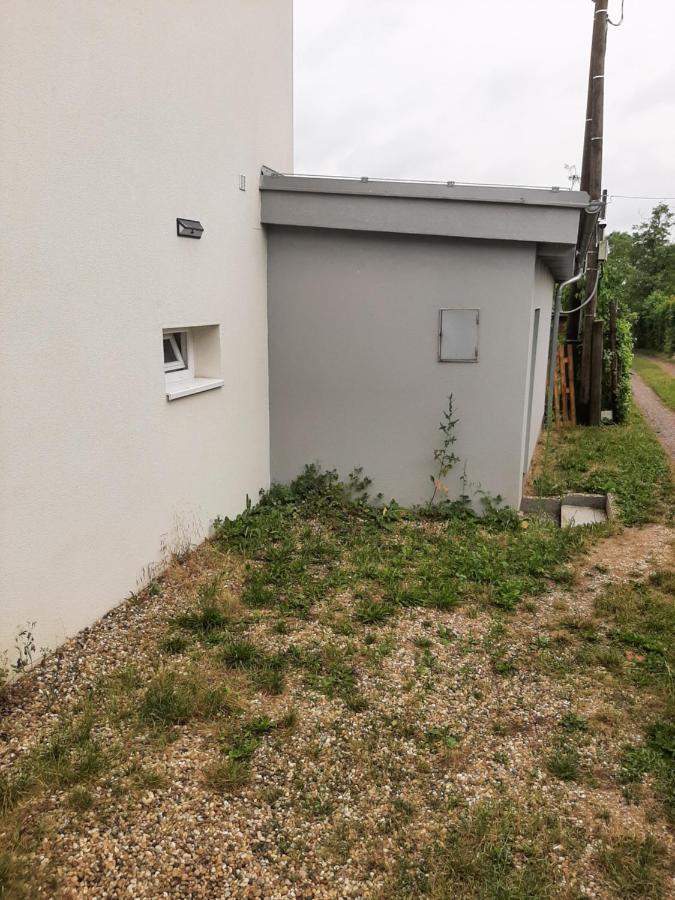 Dum V Brne Lägenhet Brno Exteriör bild